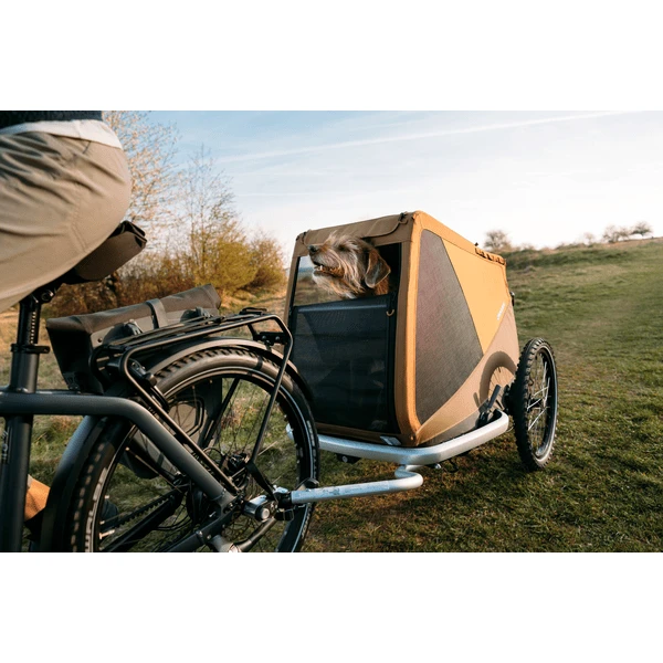 CROOZER Hondenfietskar Dog Enna Moss Green - Afbeelding 4