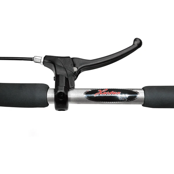 Hartan Kinderwagen Racer GTX Met Handrem Yellow Hearts (208) Framekleur Platina - Afbeelding 3