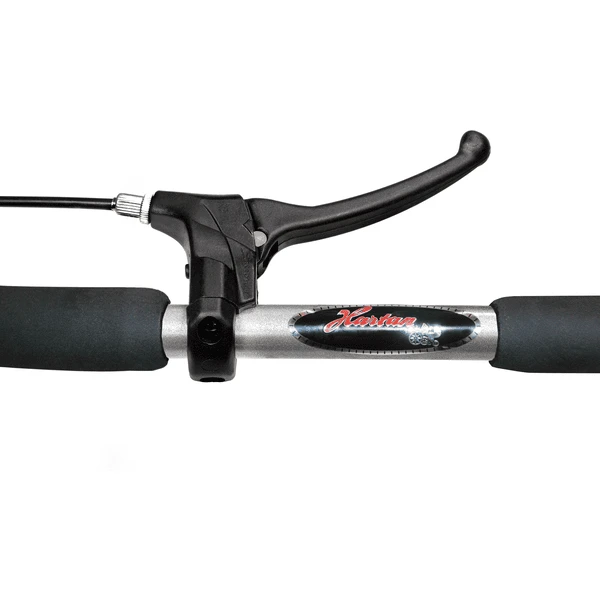 Hartan Pram Racer GTX Met Handrem Zeezijde (207) Framekleur Zilver - Afbeelding 3